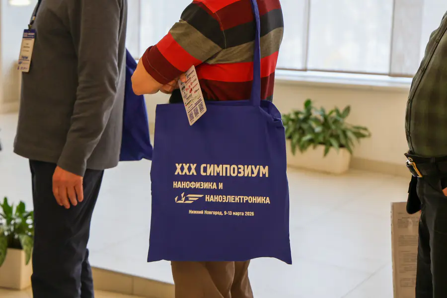 Центр перспективных методов мезофизики и нанотехнологий представил результаты исследований на симпозиуме «Нанофизика и наноэлектроника» в Нижнем Новгороде
